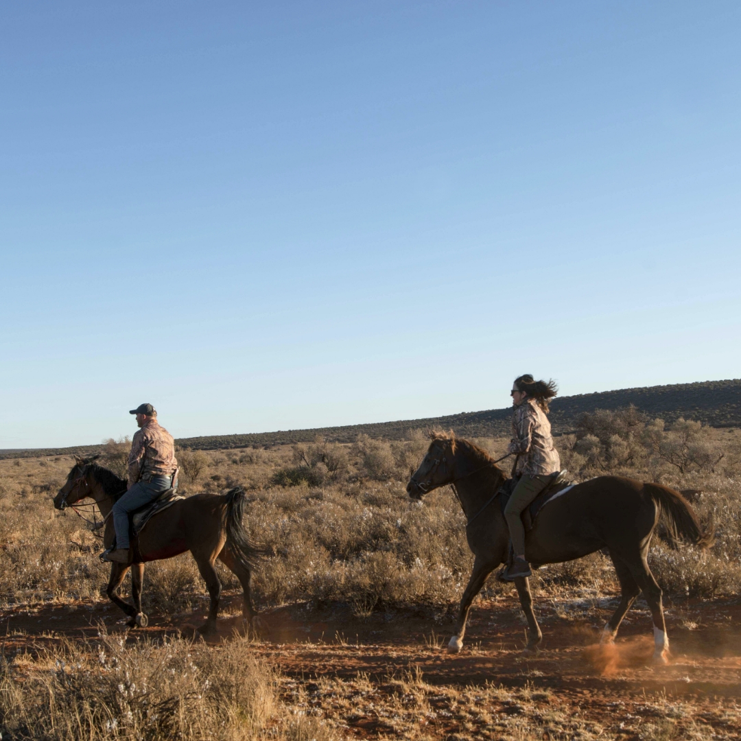 Rockwood Conservation Horse riding