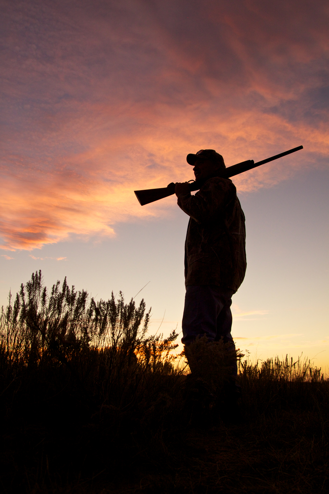 Bird,Hunter,Silhouetted,At,Sunrise